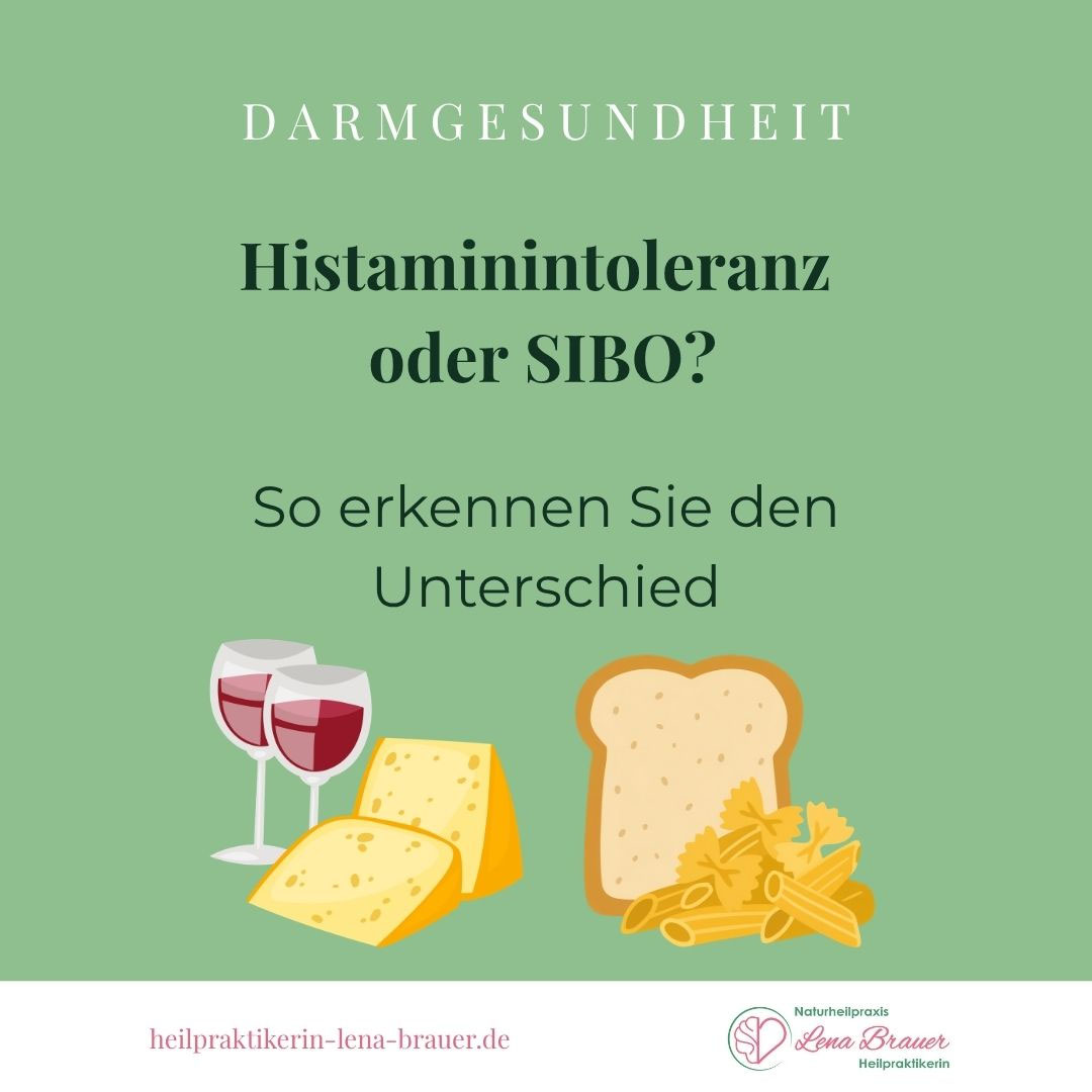 Histaminintoleranz oder SIBO? Vergleich der auslösenden Lebensmittel