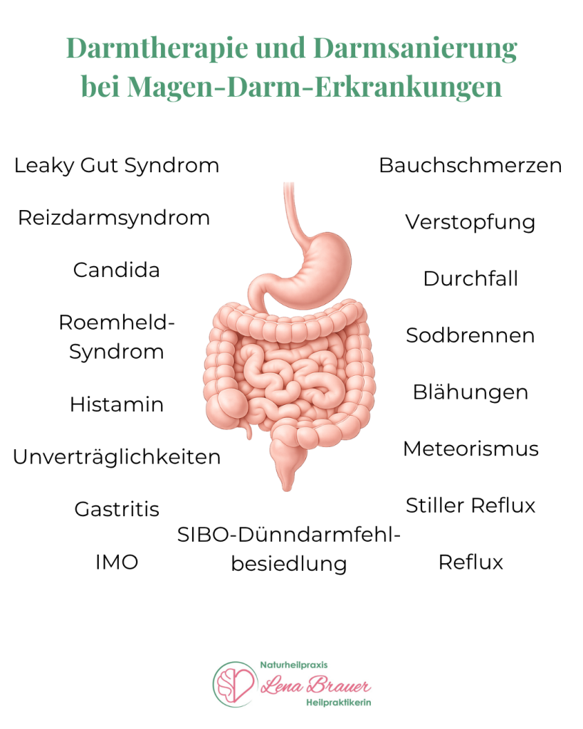 Darmtherapie und Darmsanierung bei Reizdarm, SIBO, Blähungen, Verstopfung, Durchfall und weiteren Magen-Darm-Beschwerden