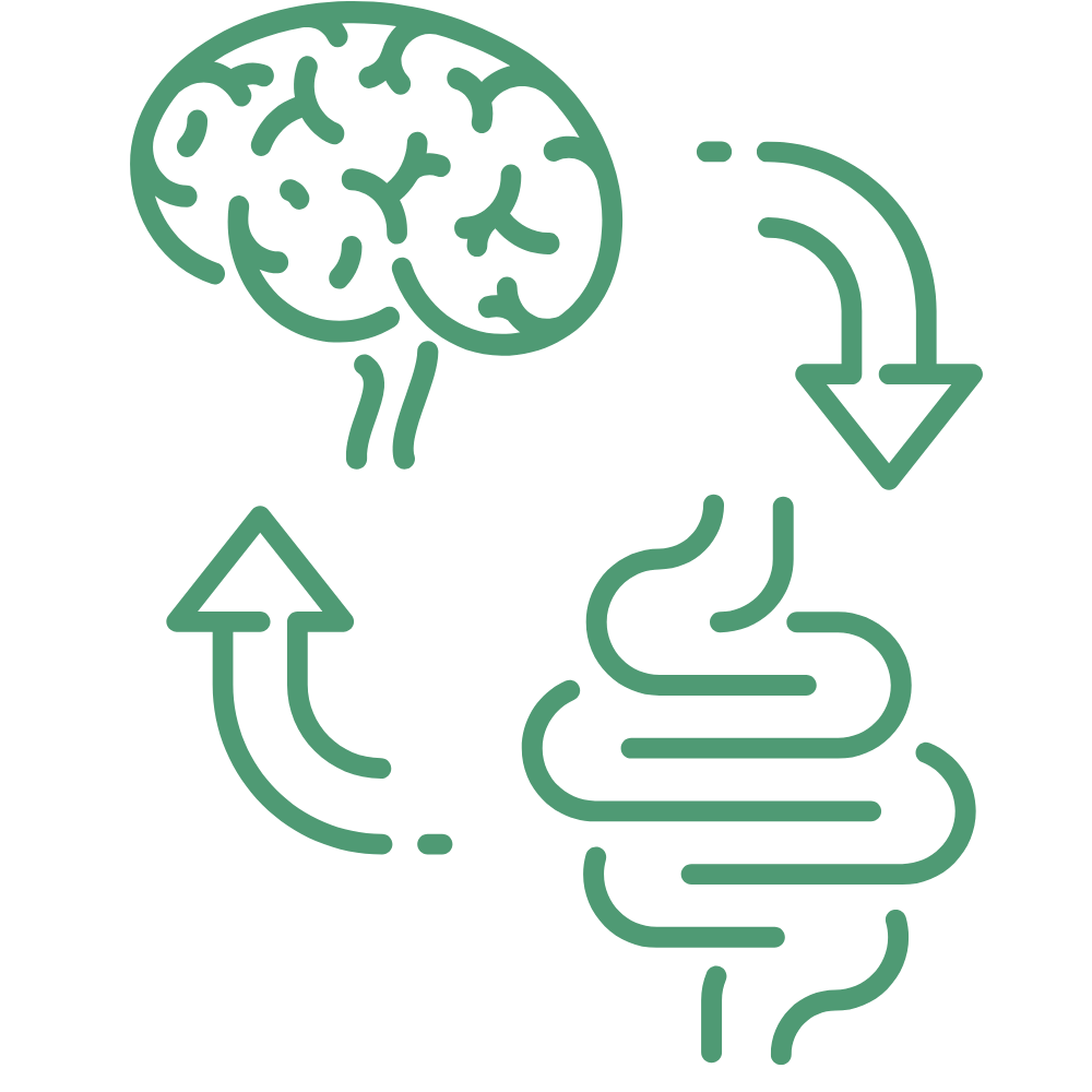 Symbol Darm-Hirn-Achse Gut-Brain-Axis