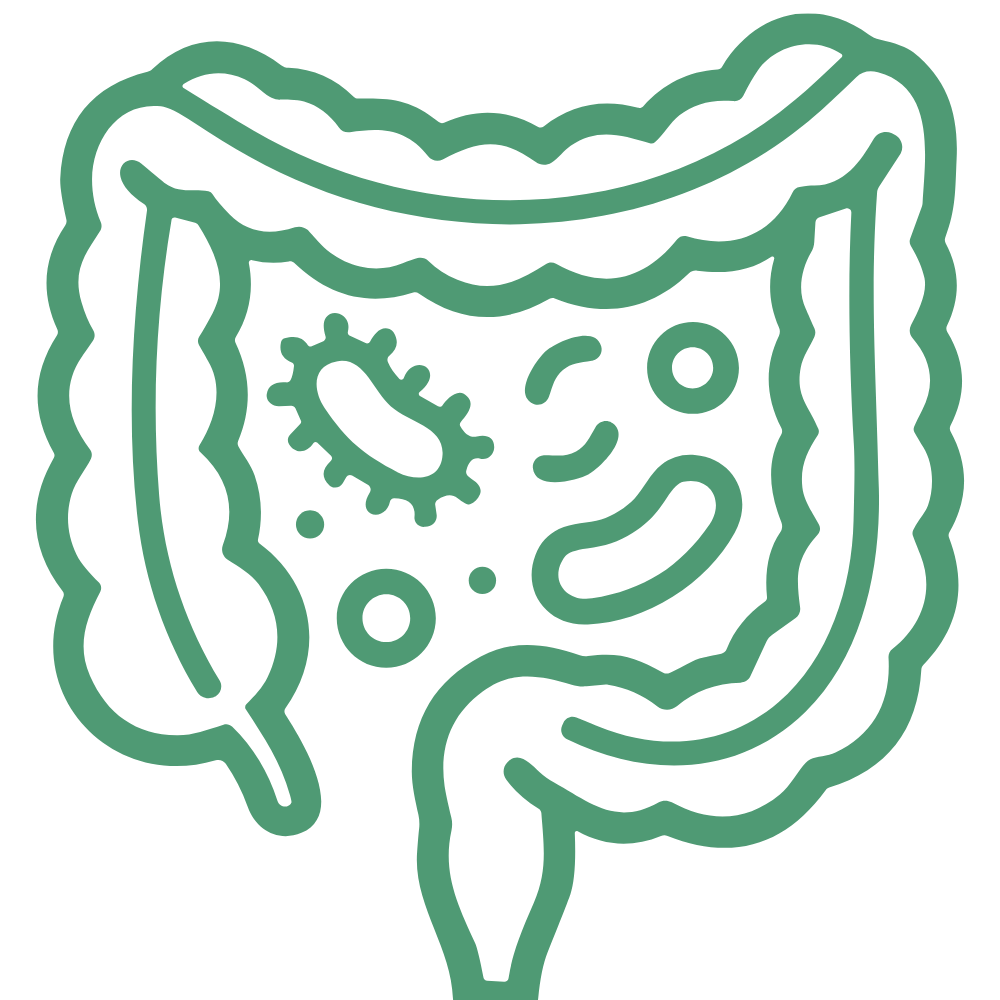 Darmdysbiose-icon
