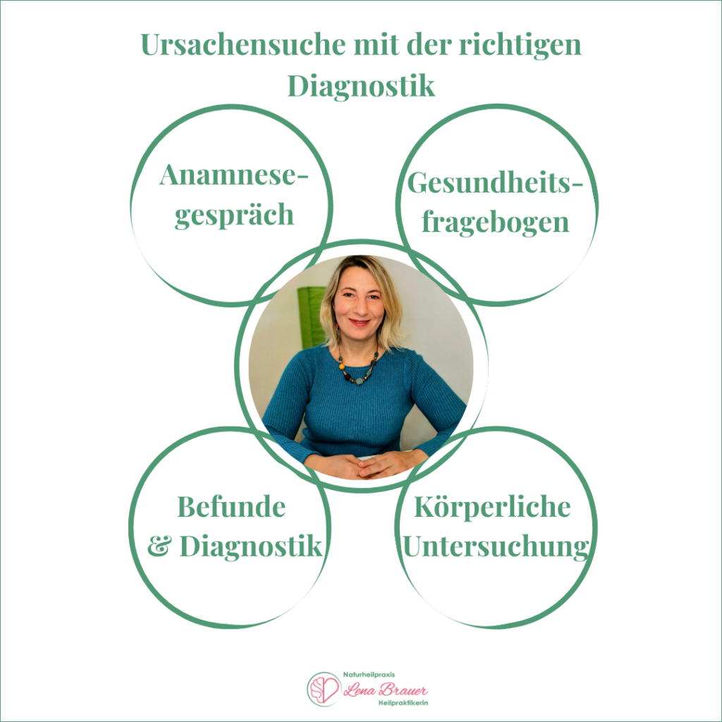 Ursachensuche mit der richtigen Diagnostik: Anamnesegespräch, Gesundheitsfragebogen, Befunde und Diagnostik, körperliche Untersuchung