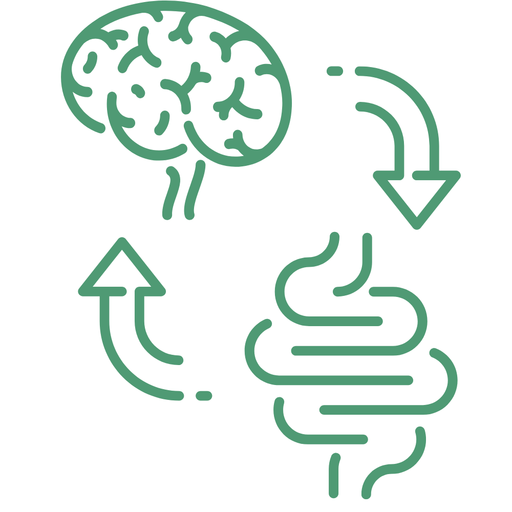 Symbol Darm-Hirn-Achse Gut-Brain-Axis
