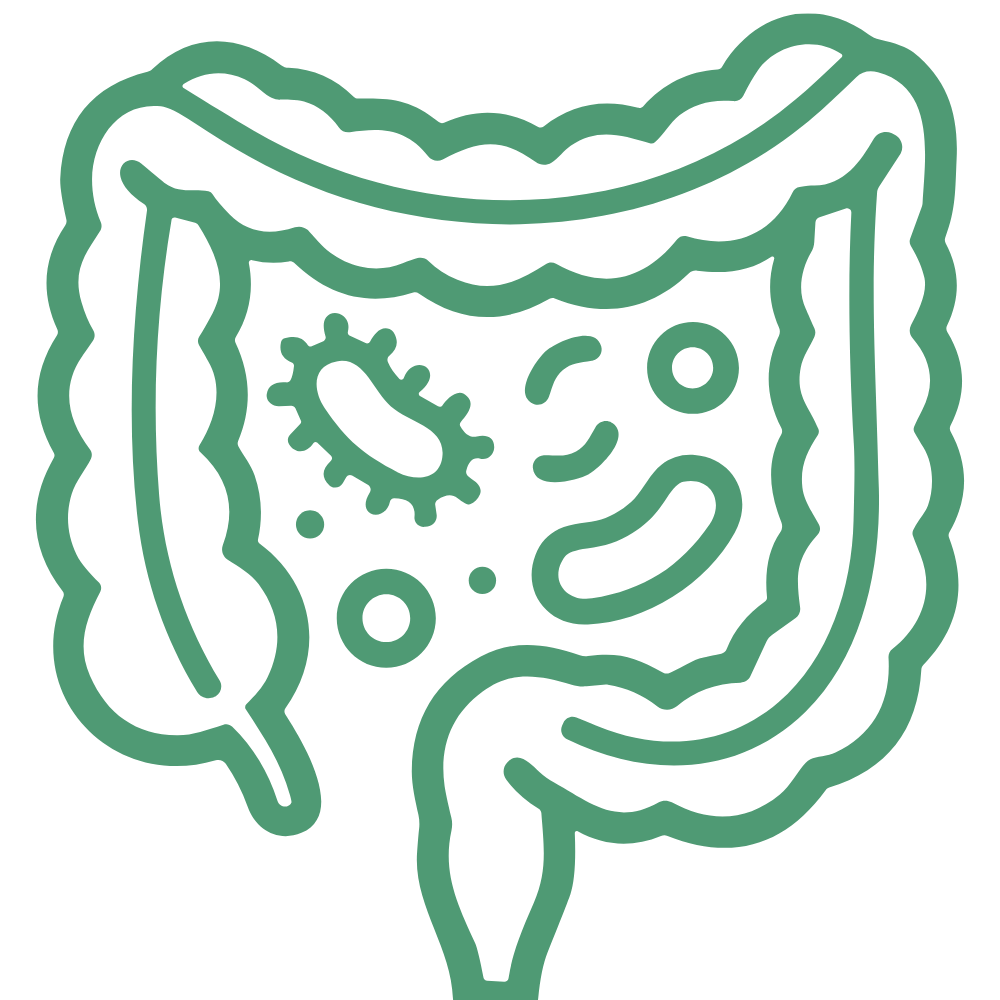Symbol Darmdysbiose-