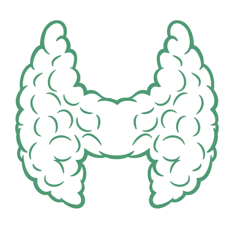 Symbol Schilddrüsentherapie