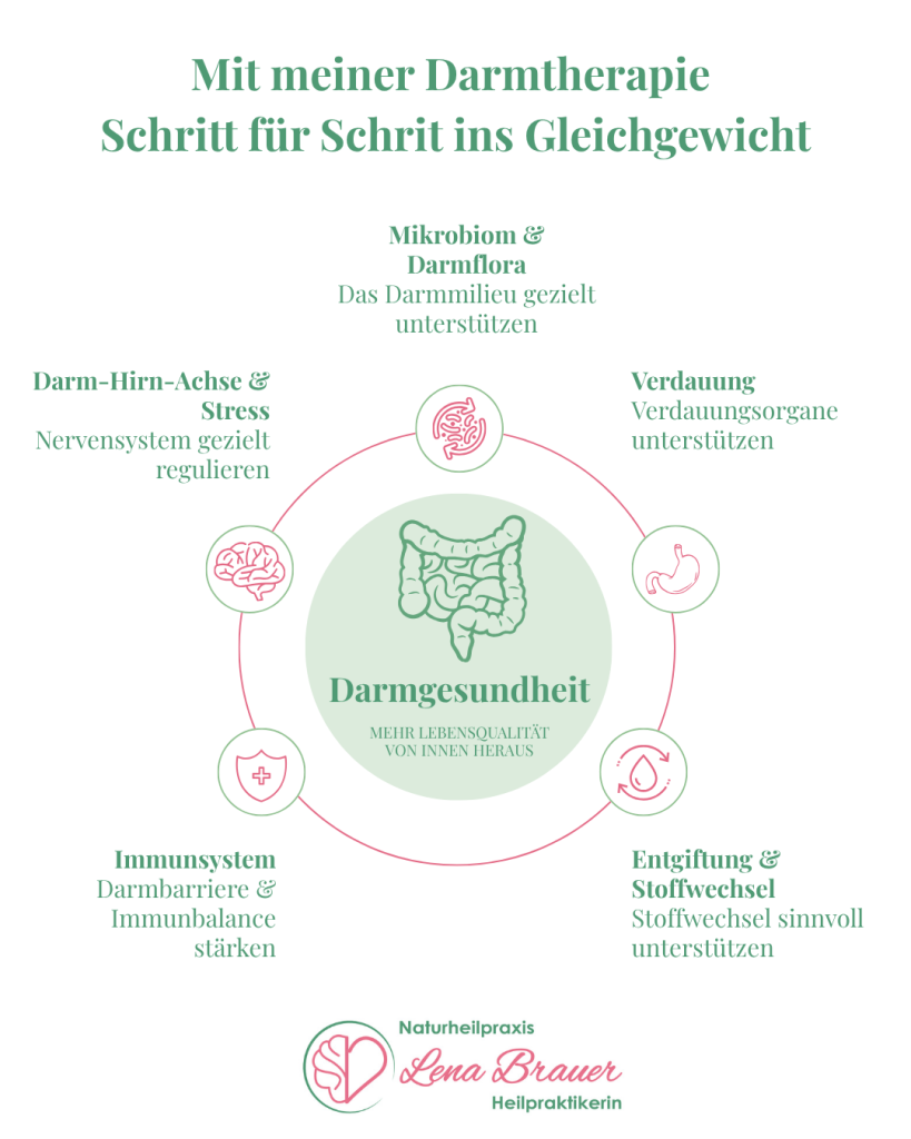 Darmtherapie zur Unterstützung der Darmgesundheit mit den Bereichen Mikrobiom, Verdauung, Stoffwechsel, Immunsystem und Darm-Hirn-Achse