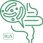 Symbol für Schwefelwasserstoff-SIBO (H₂S) und Darmdysbiose