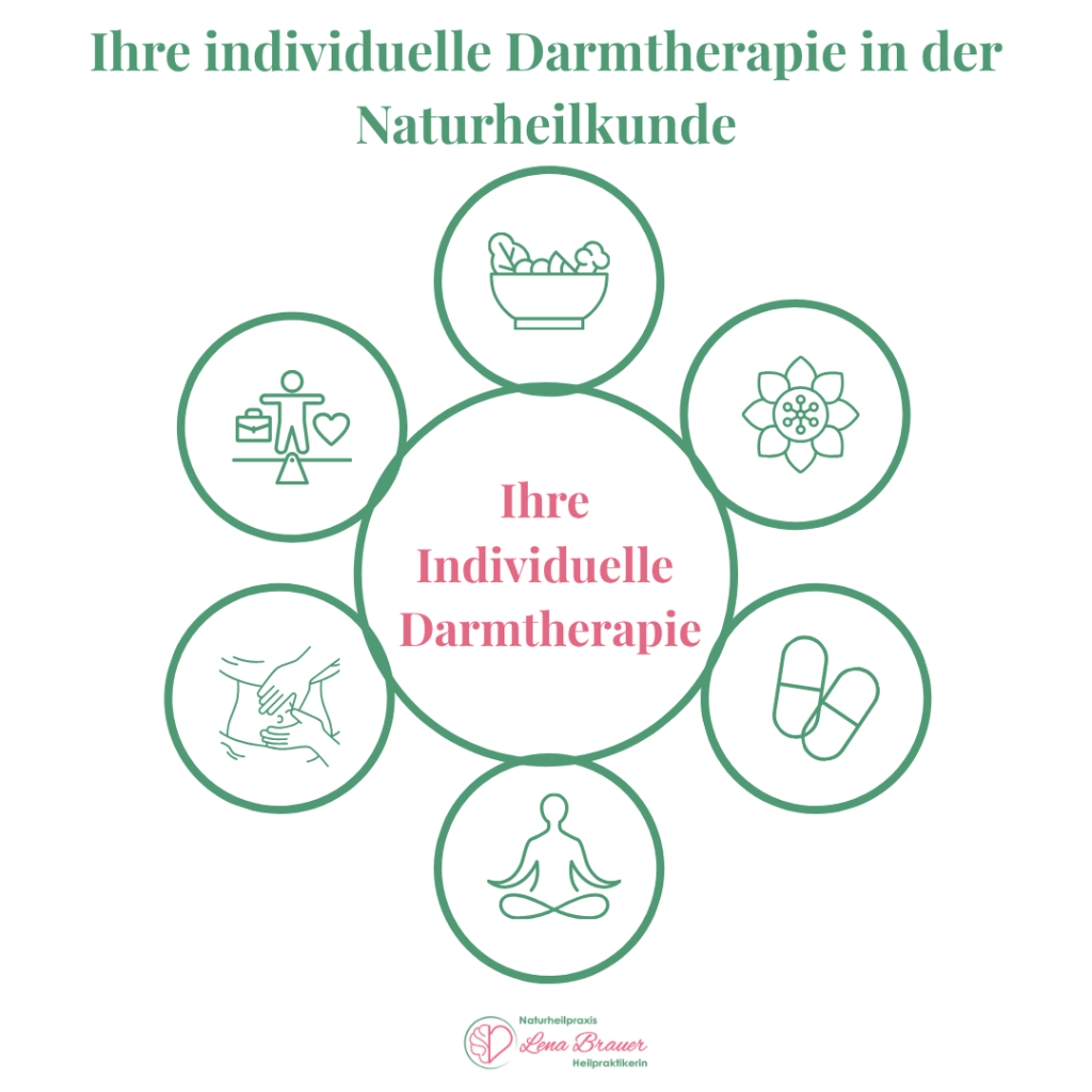 Ihre individuelle Darmtherapie in der Naturheilkunde mit sechs Bausteinen: Ernährung, Mikrobiom, Medikamentenplan, Stressregulation, therapeutische Verfahren und individuelle Begleitung