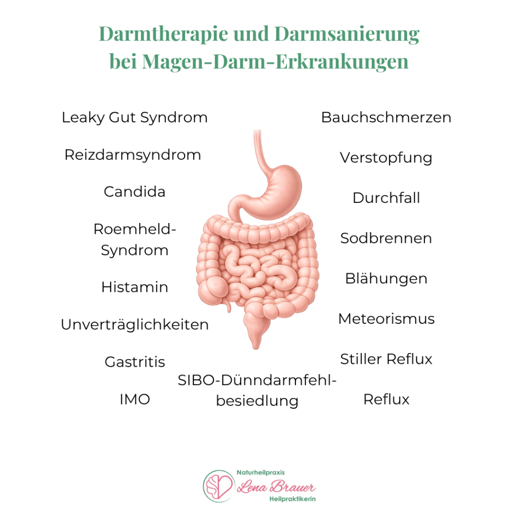 Darmtherapie und Darmsanierung bei Reizdarm, SIBO, Blähungen, Verstopfung, Durchfall und weiteren Magen-Darm-Beschwerden