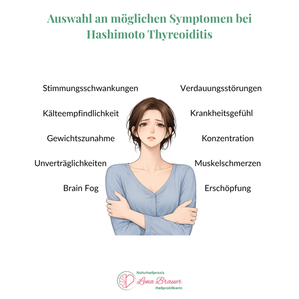 Hashimoto-Thyreoiditis: Auswahl möglicher Symptome, naturheilkundliche Behandlung bei Heilpraktikerin Lena Brauer in München